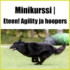 Agility ja Hoopers | Eteen! Irtoamisen minikurssi