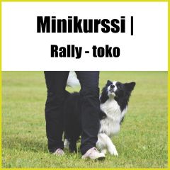 Rally-toko | minikurssi