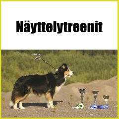 Näyttelytreenit