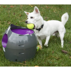 Petsafe automaattinen pallonheitin