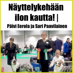 Näyttelykehään ilon kautta 