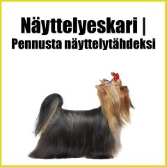 Näyttelyeskari