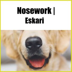 Nose-eskari