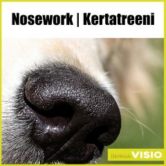 Nosework | Kertatreeni