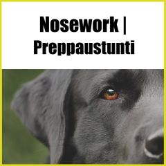 Nosework | Preppaustunti
