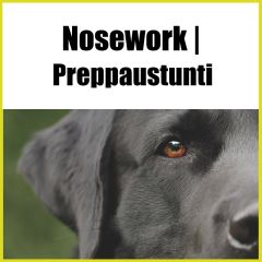 Nosework | Preppaustunti