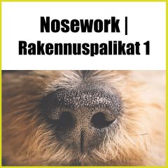 Nosework | Rakennuspalikat 1 - nosework jatkokurssi