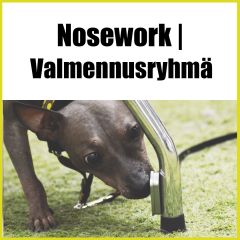 Nosework | Valmennusryhmä