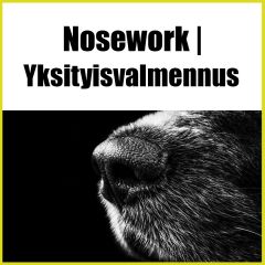 Nosework | Yksityisvalmennus