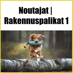 Noutajan rakennuspalikat 1