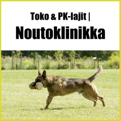 Noutoklinikka
