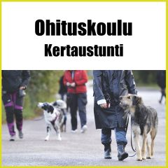 Ohituskoulu kertaustunti
