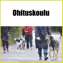 Ohituskoulu