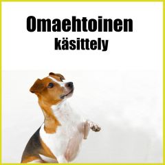 Omaehtoinen käsittely