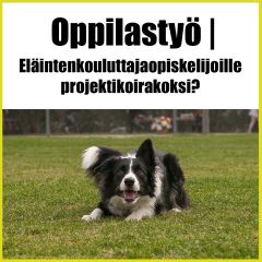 Projektikoulutus Oppilastyö