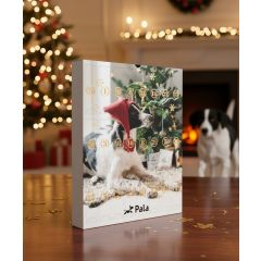 Ihana kalenteri täynnä Palan herkkumaistiaisia! Voiko sun kaveri olla ilman tätä? 