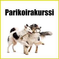 Parikoirakurssi