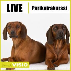 Parikoirakurssi