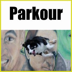 Parkour