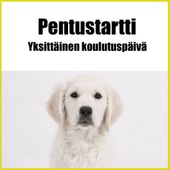 Pentustartti