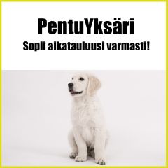 Pentuyksäri