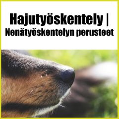 Hajutyöskentely | Nenätyön perusteet