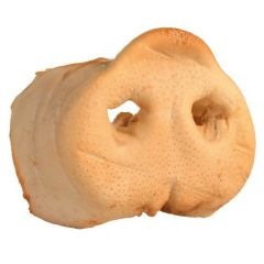 Puffattu possun kärsä