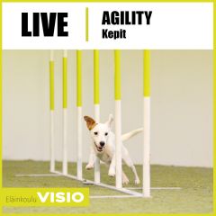 Agility | Kepit - pujottelukurssi