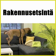 Rakennusetsintä