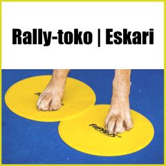 Rally-tokoeskari