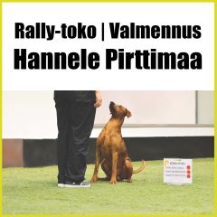 Rally-toko | Valmennusryhmä