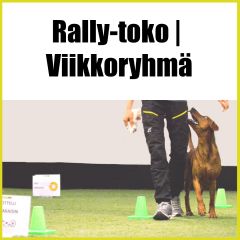 Rally-Toko | Viikkoryhmä