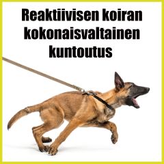 Reaktiivisen koiran kokonaisvaltainen kuntoutus