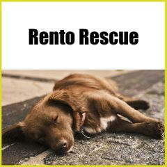 Rento Rescue