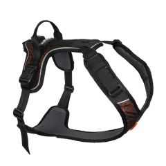 Non-stop Rock Harness