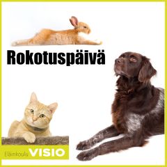 Rokotuspäivä
