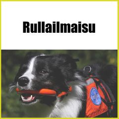 Rullailmaisu