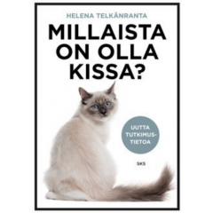 Millaista on olla kissa?