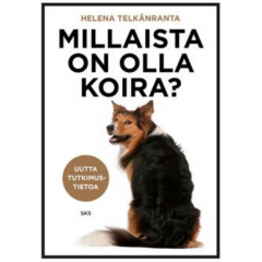 Millaista on olla koira?