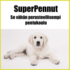 Pentukoulu | SuperPennut 15 krt