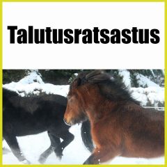 Talutusratsastus