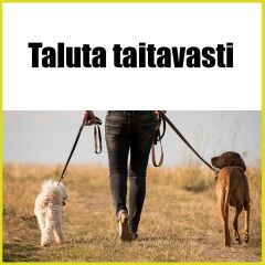 Taluta taitavasti