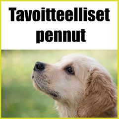 Tavoitteelliset pennut