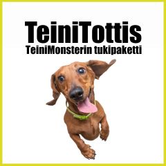 Teinitottis | Arkitottelevaisuutta teinikoirille