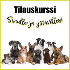 Tilauskurssi |Oma porukka | Räätälöity kurssi