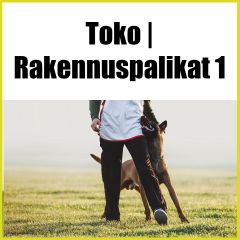 Toko | Rakennuspalikat 1 - tokon jatkokurssi