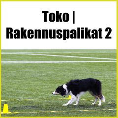 Toko | Rakennuspalikat 2 - Tokon jatkokurssi