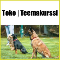 Toko | Teemakurssi