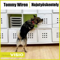 Tommy Wiren | Hajutyöskentely