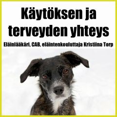 Kristiina Torp | Käytöksen ja terveyden yhteys
